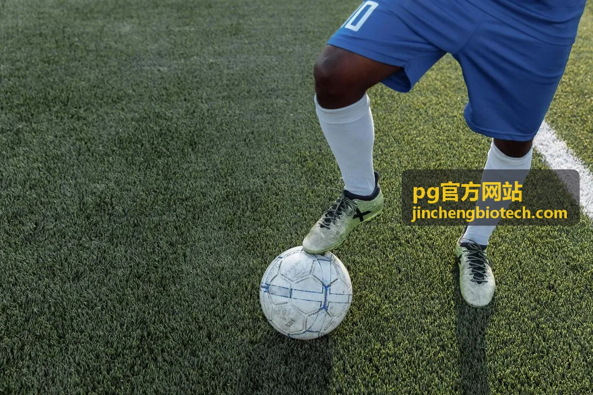 pg官方网站跨平台客户端同步界面
